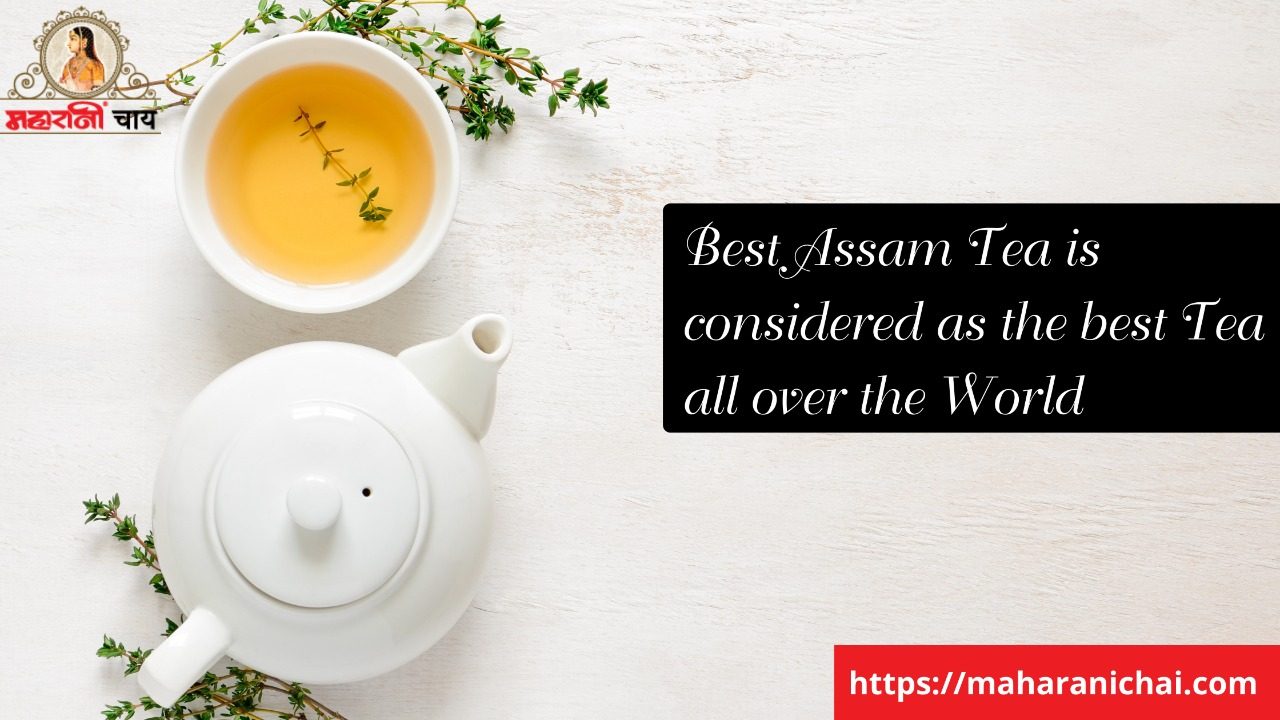 Best Assam Tea is considered as the best Tea all over the World