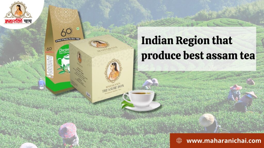 Indian Region that produce best assam tea