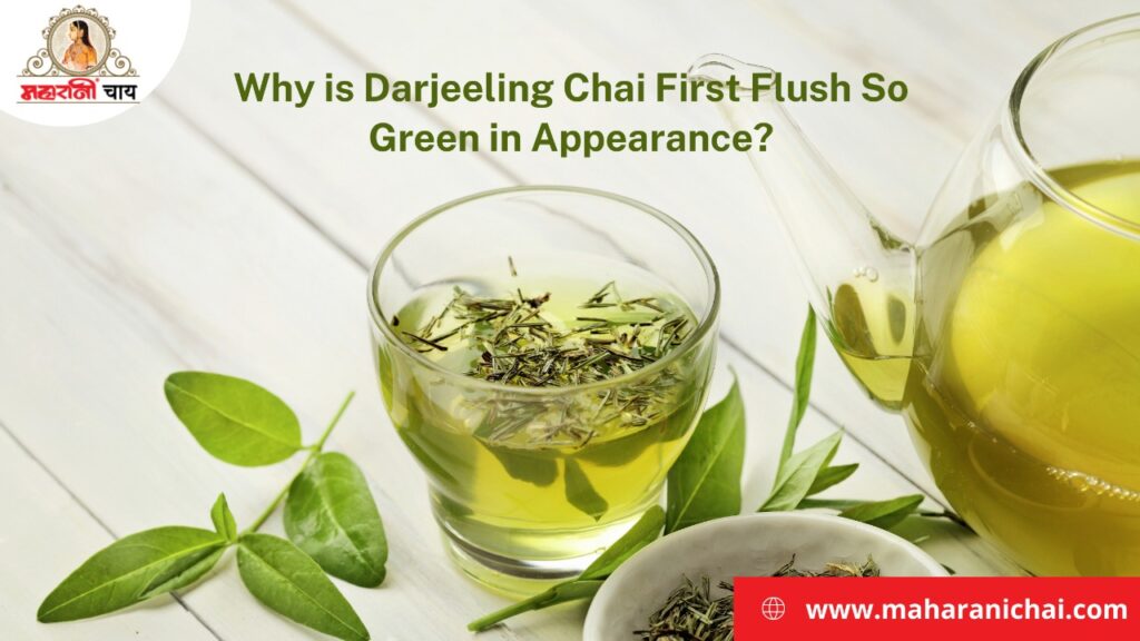 Why is Darjeeling Chai First Flush So Green in Appearance