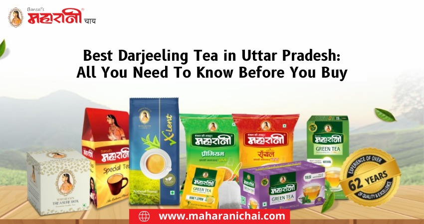 Best Darjeeling Tea in Uttar Pradesh: All You Need To Know Before You Buy