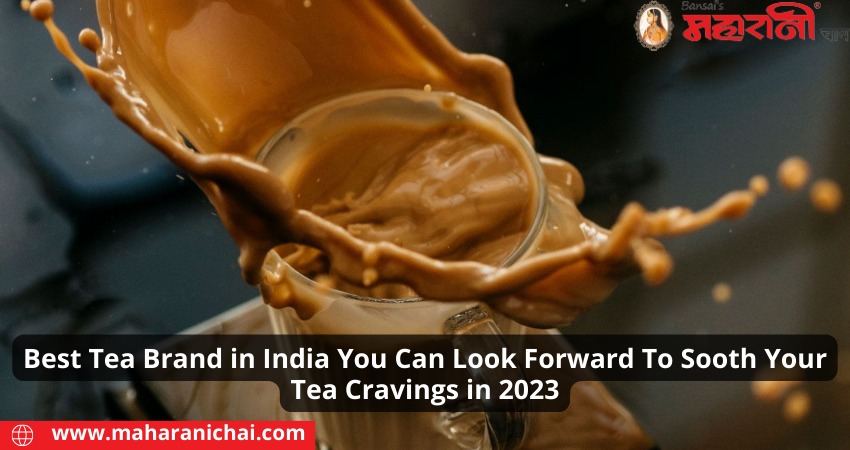 Best Tea Brand in India You Can Look Forward To Soothe Your Tea Cravings in 2023