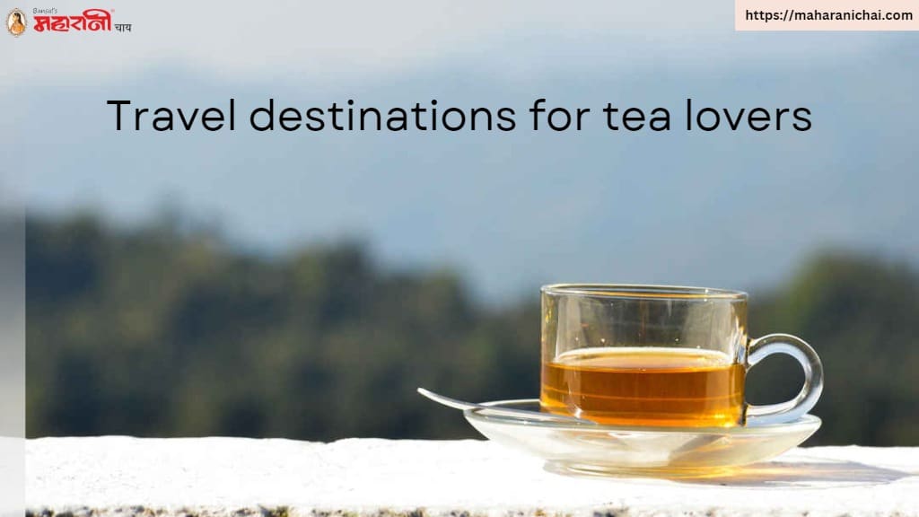 Travel Destinations for Tea Lovers