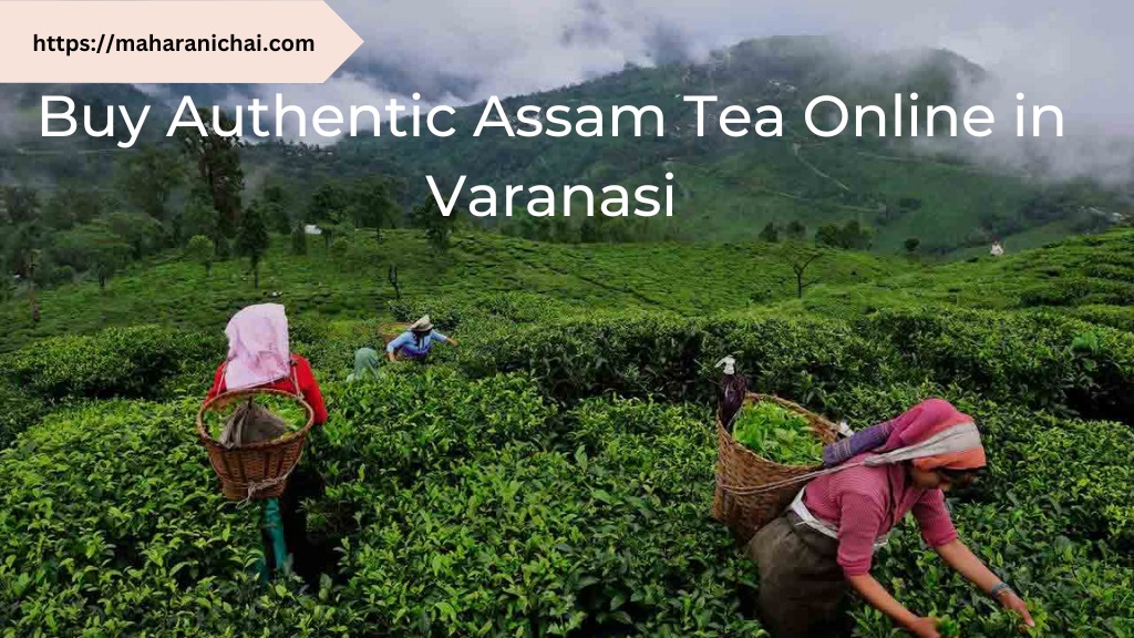 Buy Authentic Assam Tea Online in Varanasi