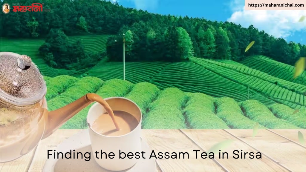 Finding the best Assam Tea in Sirsa