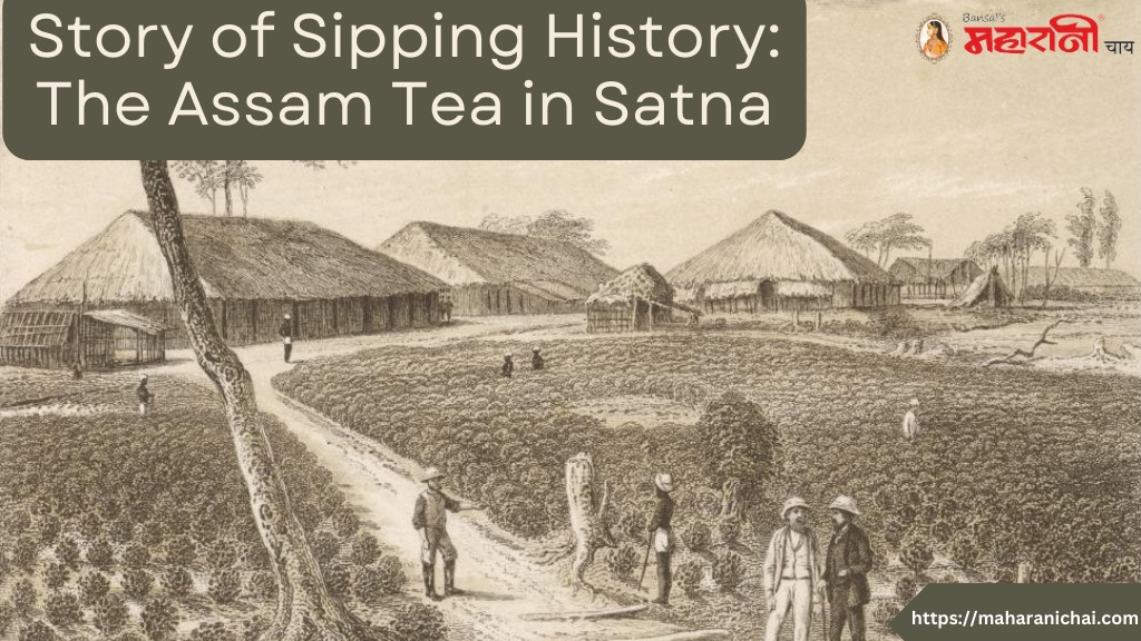 Story of Sipping History: The Assam Tea in Satna | Maharani Chai
