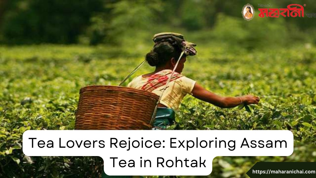 Tea Lovers Rejoice: Exploring Assam Tea in Rohtak | Maharani Chai