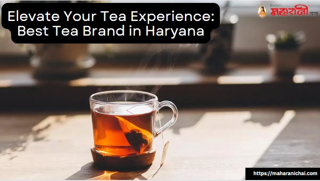 Elevate Your Tea Experience: Best Tea Brand in Haryana
