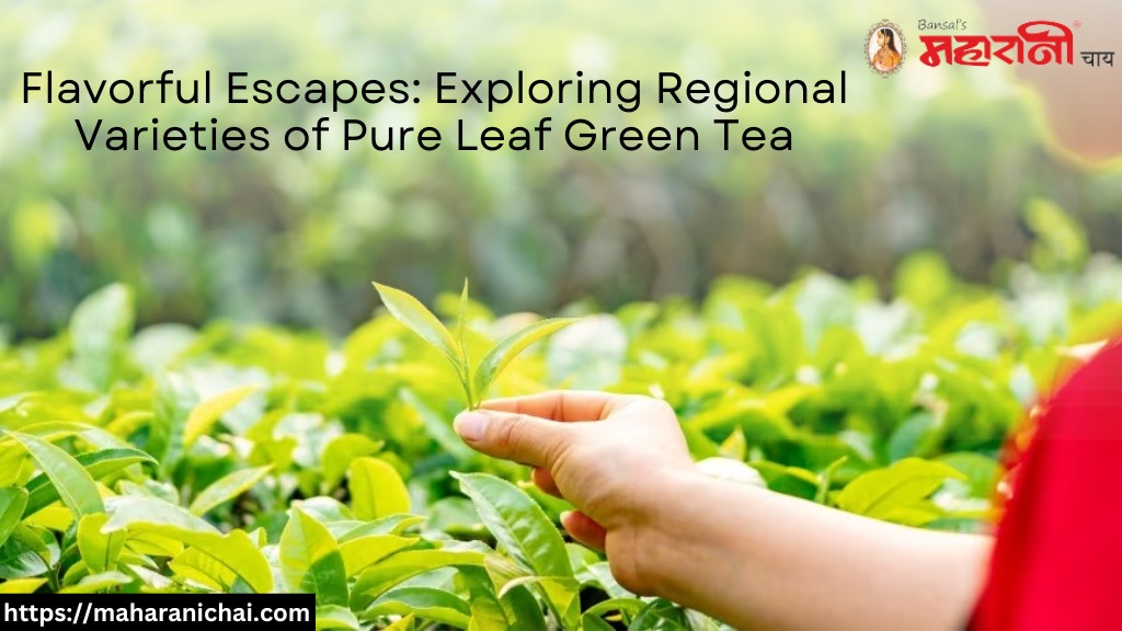 Flavorful Escapes: Exploring Regional Varieties of Pure Leaf Green Tea