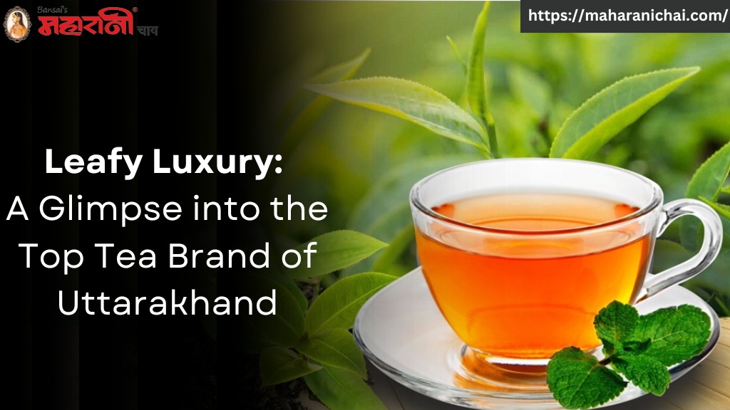 Leafy Luxury: A Glimpse into the Top Tea Brand of Uttarakhand