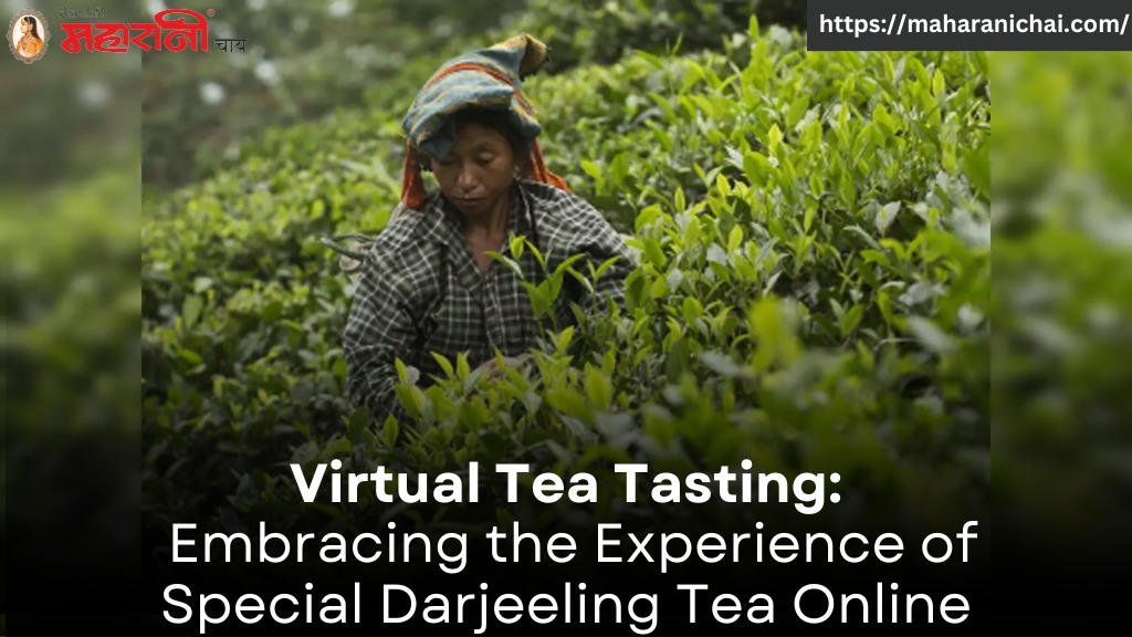 Virtual Tea Tasting: Embracing the Experience of Special Darjeeling Tea Online