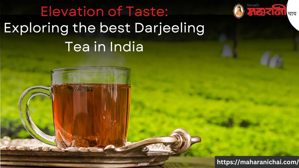 Elevation of Taste: Exploring the best Darjeeling Tea in India