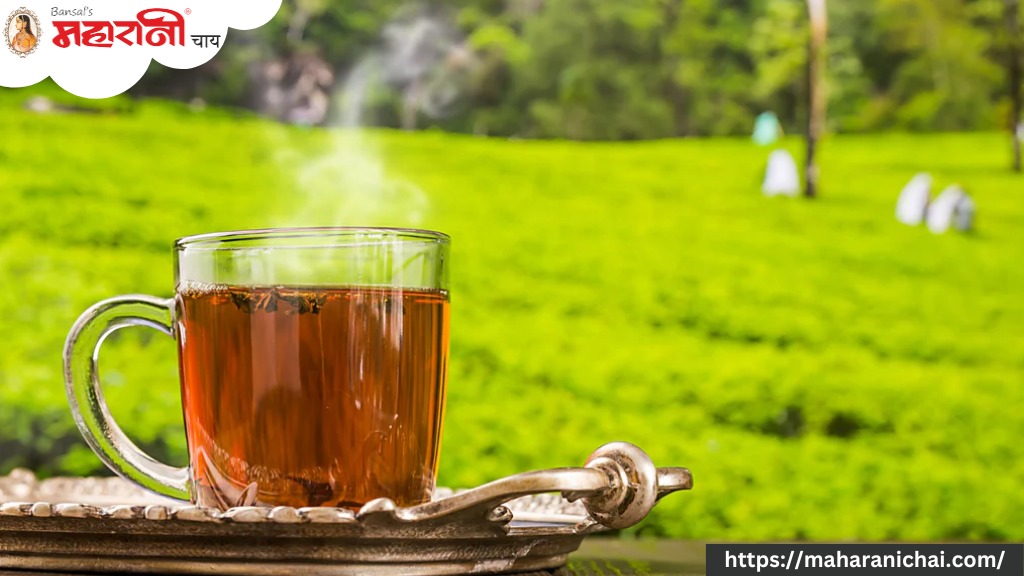 Identifying the Pinnacle of Best Darjeeling Tea in India