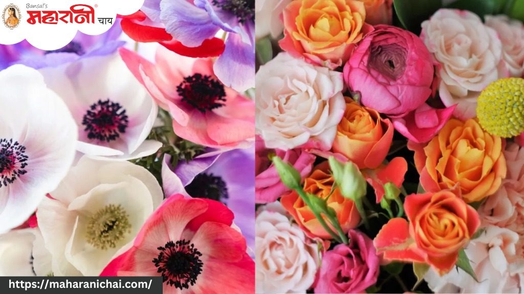 7 Unique Flower Teas To Nourish Your Body